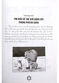 Vẽ Truyện Tranh Phong Cách Nhật Bản - Tạo Hình Và Bối Cảnh Truyện Tranh Hoạt Hình