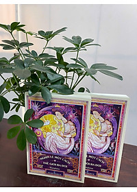 product-img-9