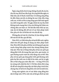 product-img-12