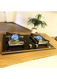 Bếp gas âm Eurosun EU-GA291D - Hàng Chính Hãng