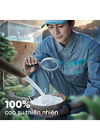 Nệm Cao Su Một Mặt Lỗ Đồng Phú DPCS1615 (160 x 200 x 15 cm)