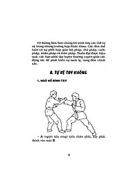 Bình Định Chân Truyền (Bộ 3 Tập)