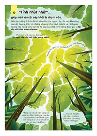 Sách 100 Bí Ẩn Đáng Kinh Ngạc Về Trái Đất - 100 Things To Know About Planet Earth