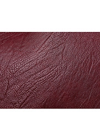 Túi xách nữ thời trang cao cấp thời trang – BEE GEE TN1006