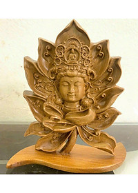 product-img-1