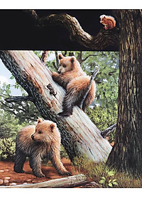 Sách Di Chuyển Và Di Cư