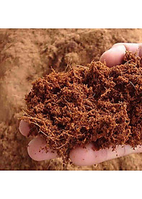 Xơ Dừa- Mùn Dừa Trồng Cây Đã Sử Lí