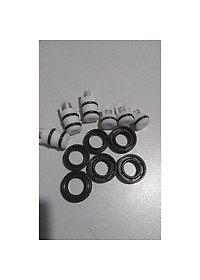 BỘ PHỚT, VAN MỘT CHIỀU MÁY BƠM RỬA XE MINI CAO ÁP DÙNG PHỚT 12-20, 12 CHIẾC