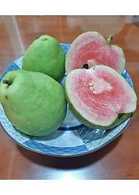 product-img-13