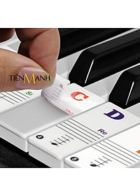 Sticker Dán nốt bàn phím cho Đàn Piano và Organ - Decal đánh dấu vị trí note nhạc dùng cho tất cả Đàn 88, 61, 54, 49 Phím Hàng Chính Hãng - Kèm Móng Gẩy DreamMaker