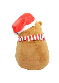 product-img-6