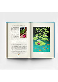 product-img-5