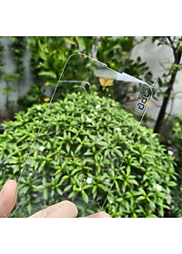 Kính Cường Lực GOR Cho IPHONE 13 Pro Max/ 13 Pro/ 13/ 13 Mini Trong Suốt Cao Cấp - (2 Kính Fullbox) - Hàng Nhập Khẩu