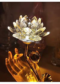 product-img-1