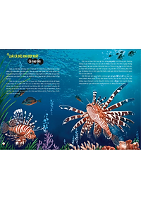 Sách Khám Phá Thế Giới Động Vật Kì Thú : Thế Giới Của Những Loài Động Vật Sát Thủ