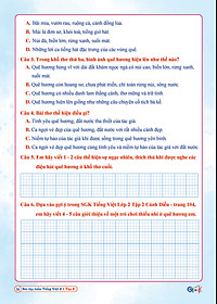 Combo Bài Tập Tuần và Đề Kiểm Tra Toán, Tiếng Việt Lớp 2 - Cánh Diều (Tự Chọn Sách)