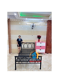 Giường sắt kiểu mới nhiều kích thước từ 1m đến 1m8