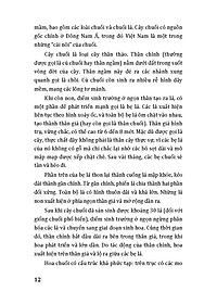 product-img-9