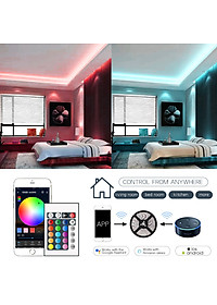 Dây Đèn LED Quấn Cây 5050 Dài 10M 300 Bóng, Điều Khiển Wifi, Chống Nước Kèm Nguồn 6A