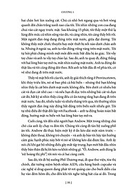 product-img-8