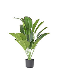 Cây chuối giả cảnh - cao 90cm - Cây giả, hoa lụa Decor trang trí nhà cửa