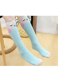 product-img-6