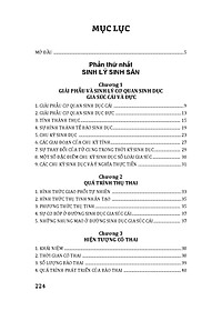 product-img-13