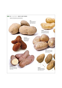 product-img-7