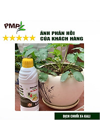 Combo 2 Chai Dịch Chuối Humic PMP Vi Sinh Chuyên Dùng Cho Hoa Hồng, Rau Sạch 1L/Chai