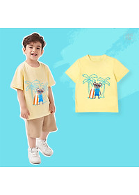 product-img-7