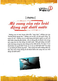 product-img-10