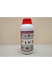 product-img-5