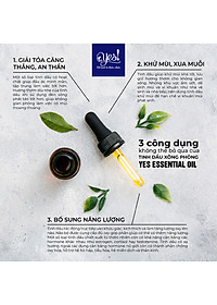 product-img-6