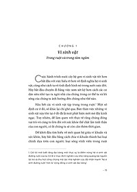product-img-13
