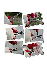 Kéo đa năng hàn Quốc Multi-Purpose Scissors Model : P-300 (Kéo cắt dây điện, dây thừng, cắt tỉa cành,cao su..)