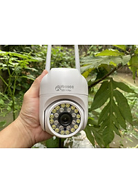 product-img-8