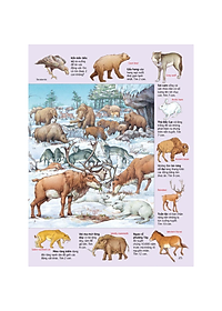 Sách Thử tài tìm kiếm – Thành phố