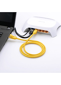 Cáp mạng đúc sẵn 2 đầu Cat 5 dài 5M Ugreen NW103 11233 - Hàng Chính Hãng
