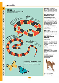 Sách Children'S Illustrated Thesaurus - Từ Điển Đồng Nghĩa Dành Cho Trẻ Em