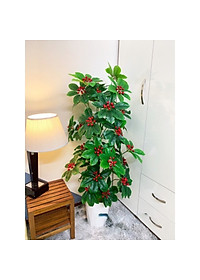 product-img-6