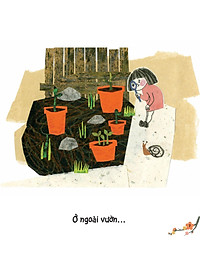 product-img-4