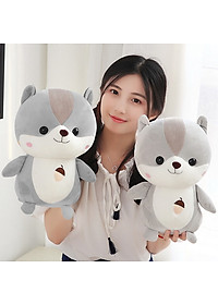 product-img-5