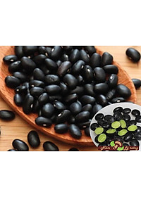 Hạt Đậu Đen Đỗ Đen Bắc Xanh Lòng Lý Tưởng 400g