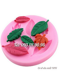 product-img-4