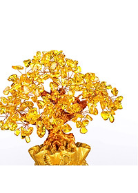 product-img-5