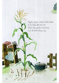 product-img-8