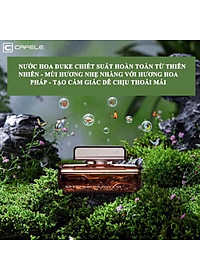 Nước hoa thơm dịu nhẹ, khử mùi cho xe ô tô