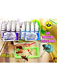 product-img-6