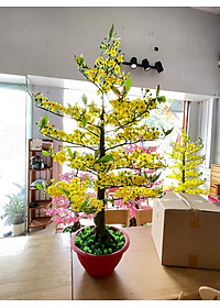 Cây Hoa Mai Nhựa Cao 1m45 Hoa Mai Giả Trang Trí Tết