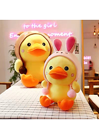 product-img-11
